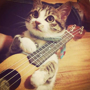 亚洲欧美国产动漫综合
